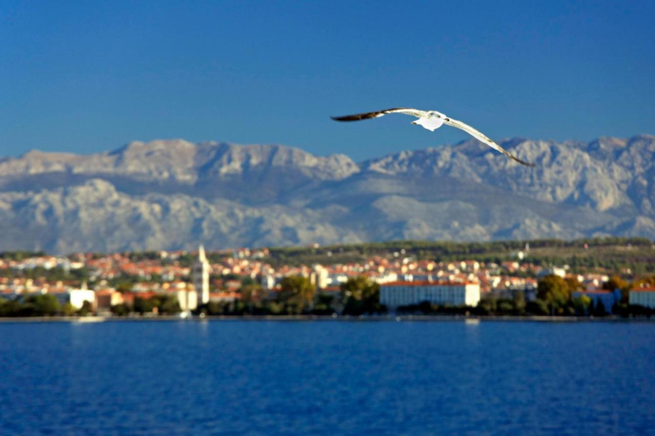 Kuki Apartment With Balcony Zadar Dış mekan fotoğraf
